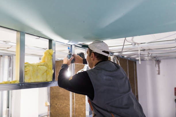 Best Types of Insulation in La Vista, NE