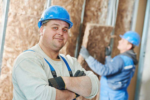 Best Energy Efficiency Solutions in La Vista, NE