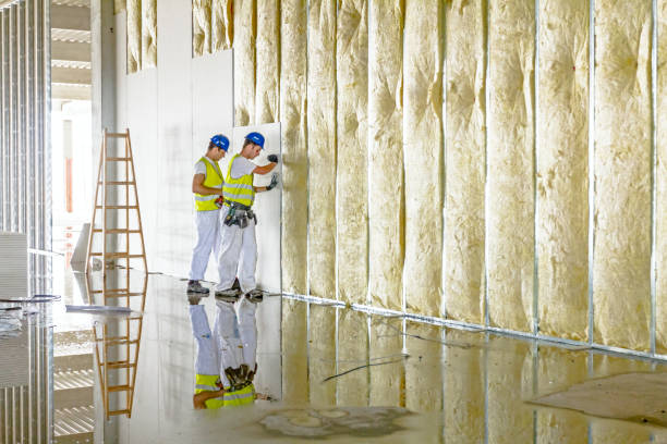 Best Types of Insulation in La Vista, NE